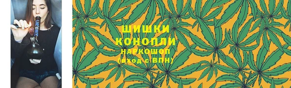 spice Нягань