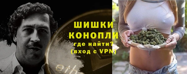 каннабис Новозыбков