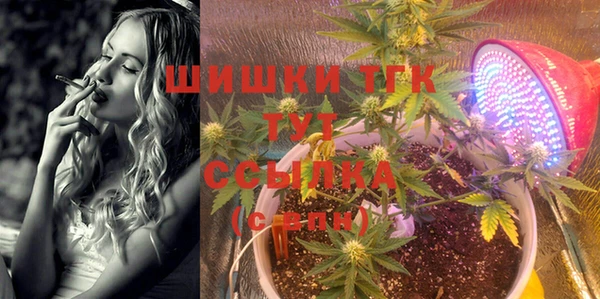 каннабис Новозыбков