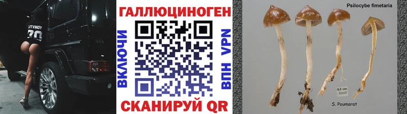 Псилоцибиновые грибы GOLDEN TEACHER  Бугуруслан 