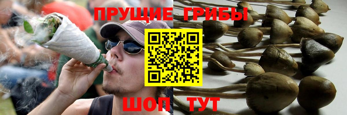 Галлюциногенные грибы мухоморы  Вход с VPN  Бугуруслан 
